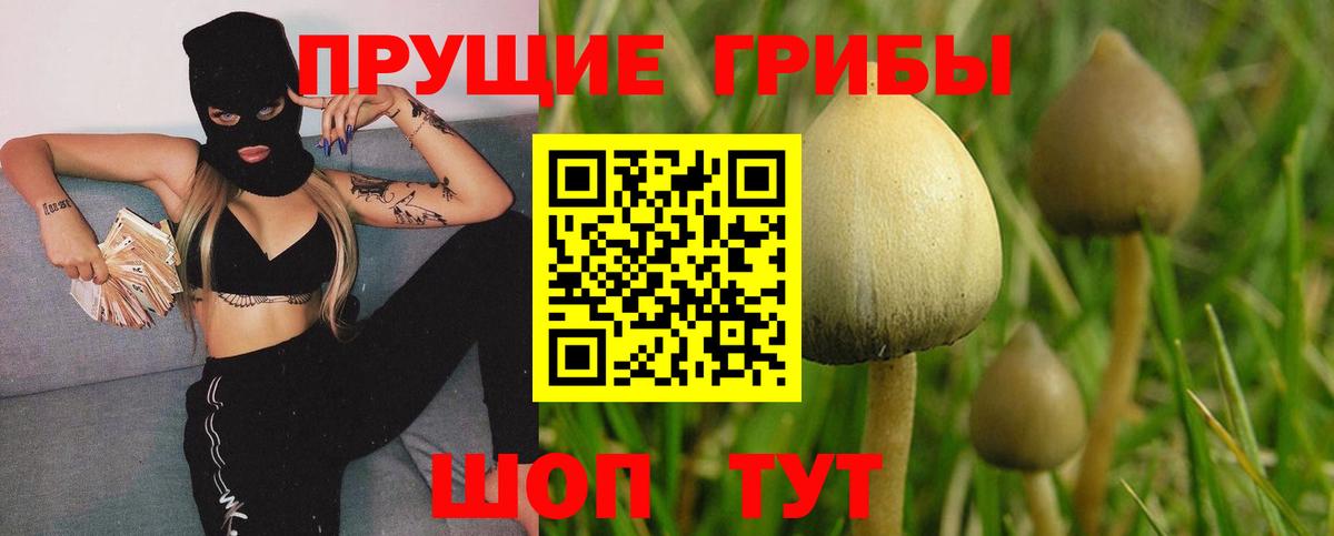 Псилоцибиновые грибы мухоморы  Псилоцибиновые грибы мухоморы  закладка  Вход с VPN  Рославль 